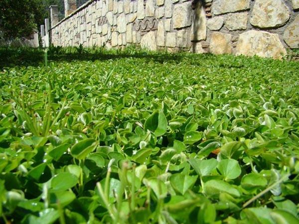 Apartament Το Είδωλον Epidaurus Zewnętrze zdjęcie